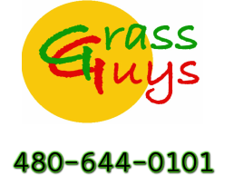 Grass Guys, Inc.